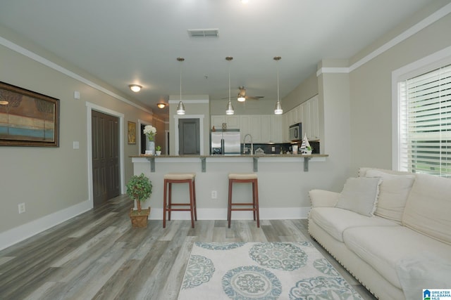 living room featuring crown molding and light hardwood / wood-style flooring