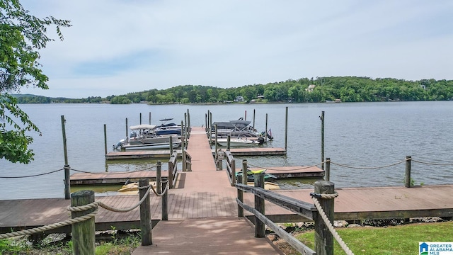 dock area with a water view