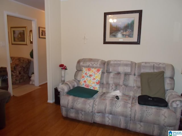 living room featuring hardwood / wood-style flooring and ornamental molding