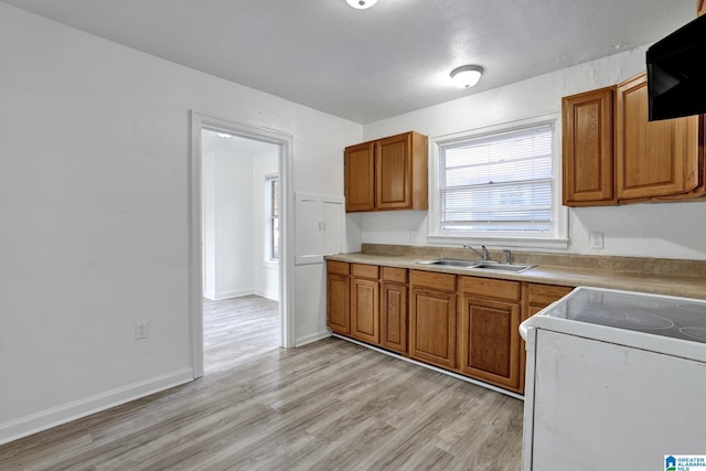 kitchen featuring ventilation hood, light hardwood / wood-style floors, range, and sink