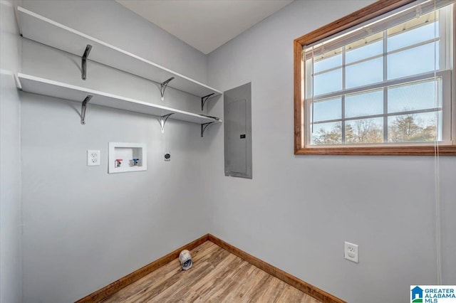 washroom with hookup for an electric dryer, washer hookup, electric panel, and hardwood / wood-style floors