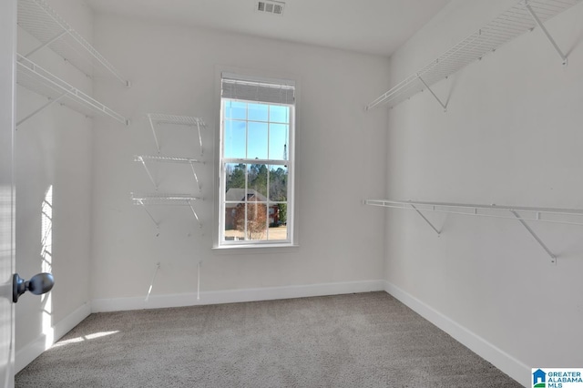 spacious closet featuring carpet floors