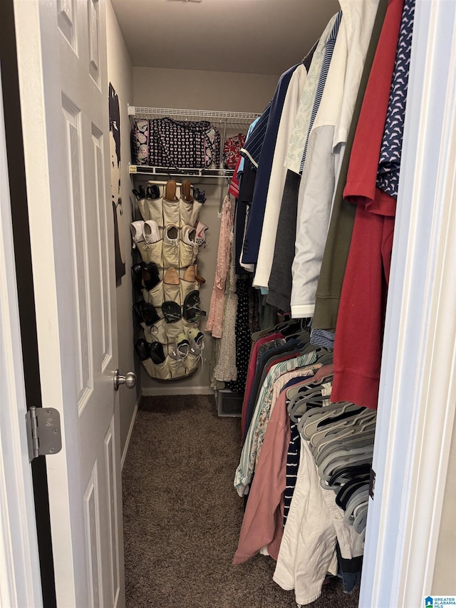 walk in closet with dark colored carpet