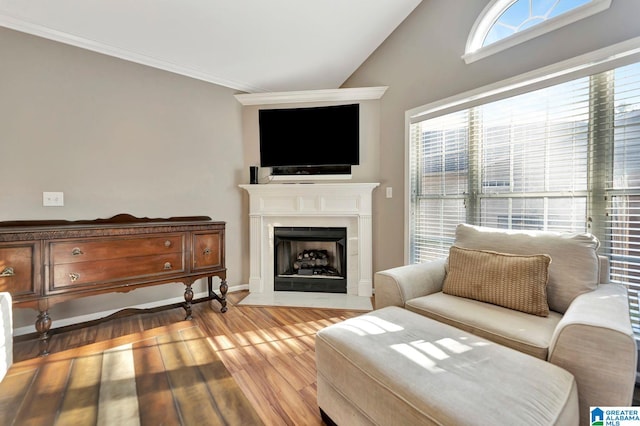 living area with vaulted ceiling and light hardwood / wood-style flooring