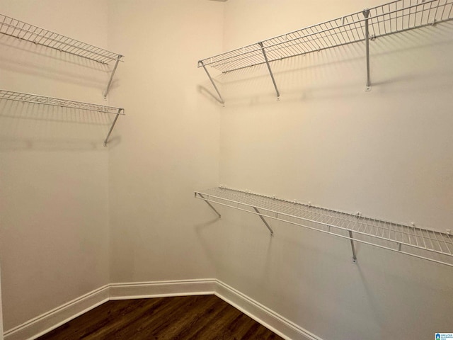 spacious closet featuring wood-type flooring