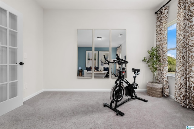 exercise area featuring carpet floors