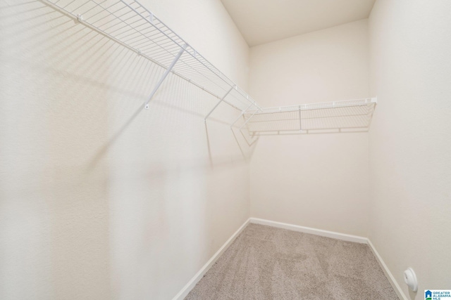 spacious closet with carpet flooring