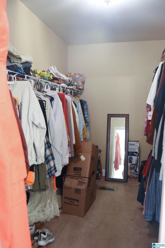 spacious closet with carpet