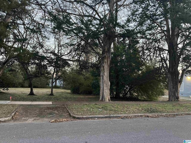 1130 Nabors St Unit 2A, Montevallo AL, 35115 land for sale