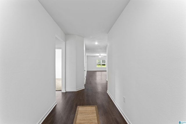 hall featuring dark hardwood / wood-style floors