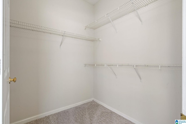 spacious closet with carpet