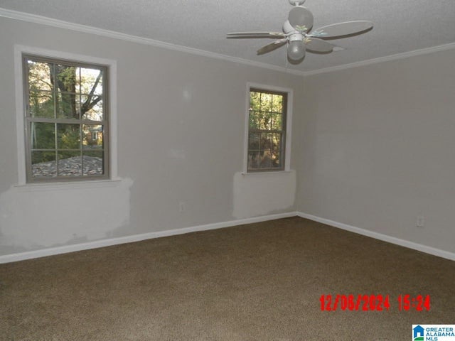 carpeted empty room featuring a textured ceiling, ceiling fan, and crown molding