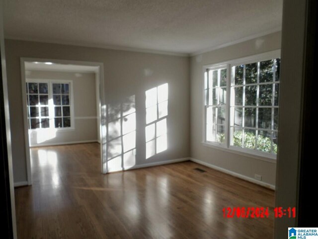 spare room with dark hardwood / wood-style flooring and a wealth of natural light