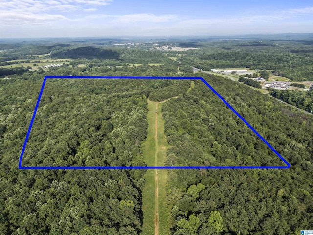 0 Pineridge Rd Unit 0, Pell City AL, 35125 land for sale