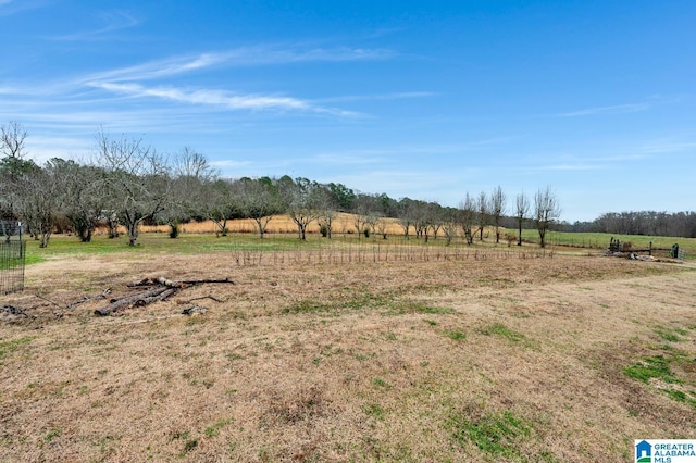 view of landscape with a rural view