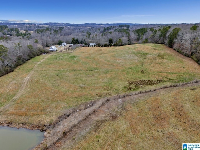 bird's eye view featuring a rural view and a water view