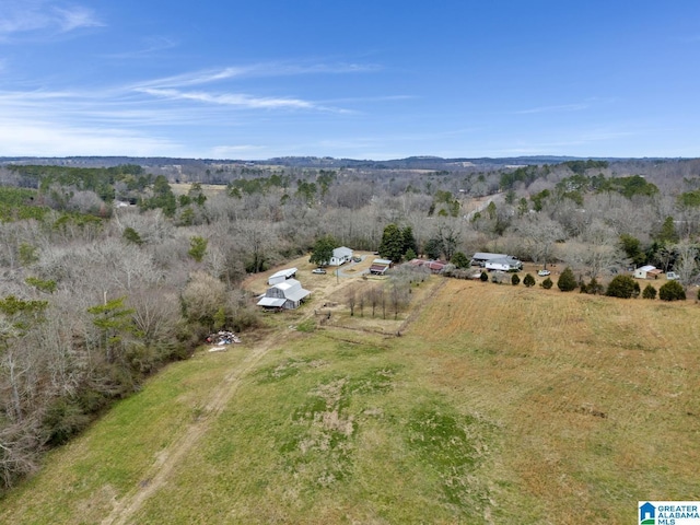 birds eye view of property featuring a rural view