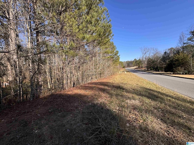 Listing photo 3 for 212 Maranatha Trl Unit 29, Alabaster AL 35007