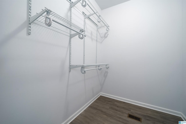 spacious closet featuring dark hardwood / wood-style flooring