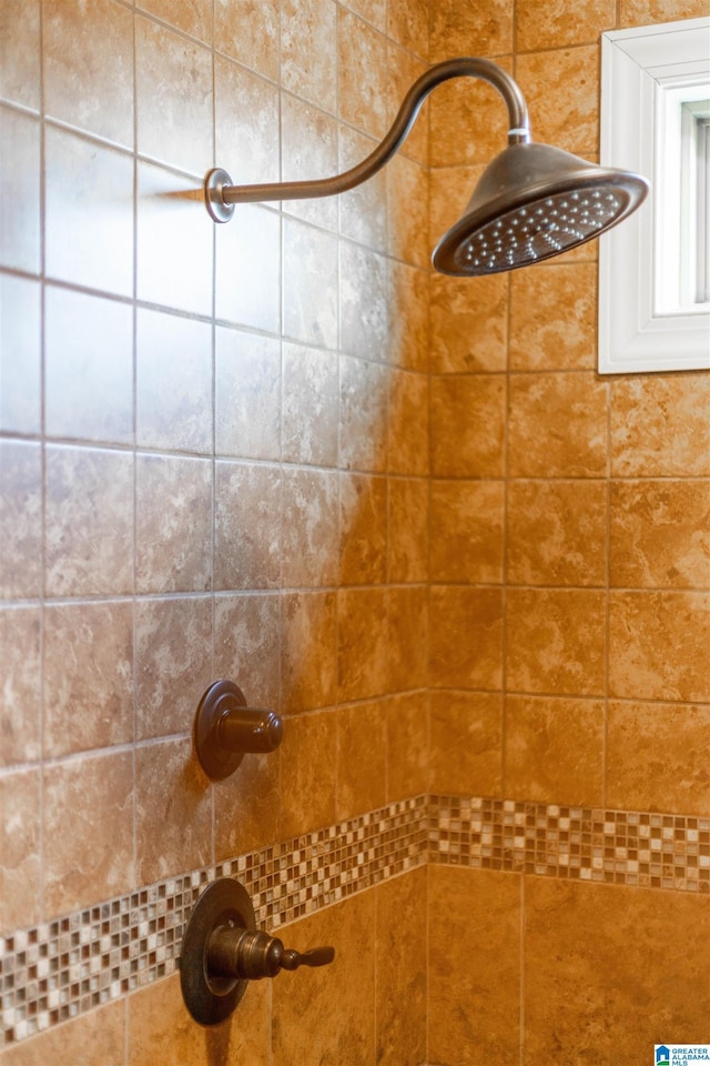 room details with tiled shower