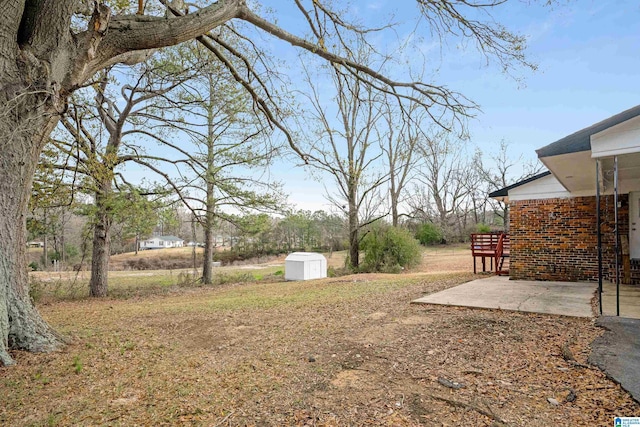 view of yard with a storage shed and a patio