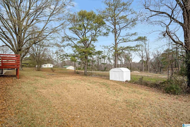 view of yard with a storage unit