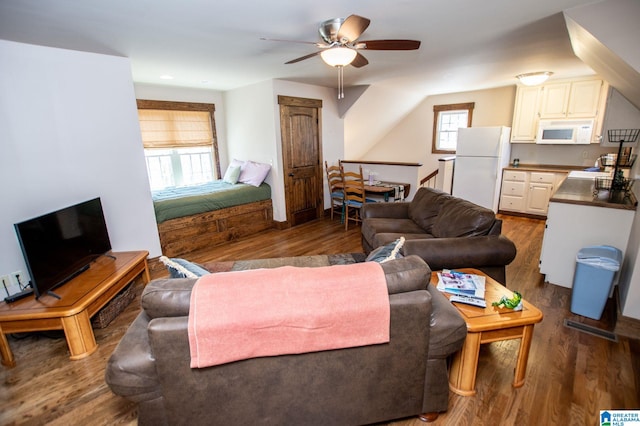 395 Creek Run Rd, Wedowee, AL 36278 - living room with ceiling fan and wood finished floors