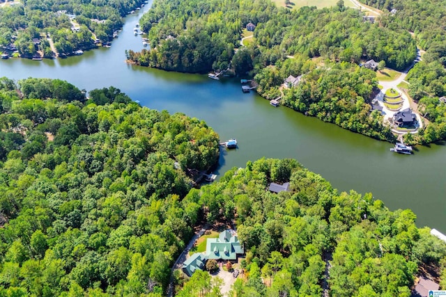 395 Creek Run Rd, Wedowee, AL 36278 - birds eye view of property featuring a wooded view and a water view