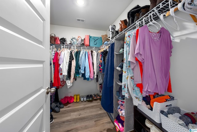 walk in closet with wood-type flooring