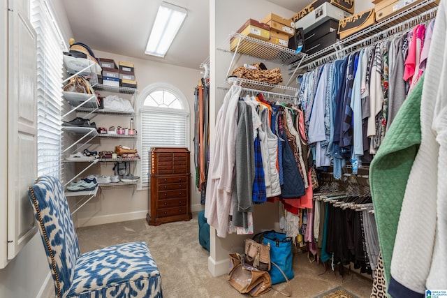 walk in closet with light colored carpet