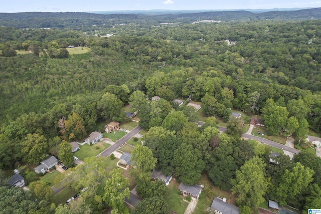 aerial view