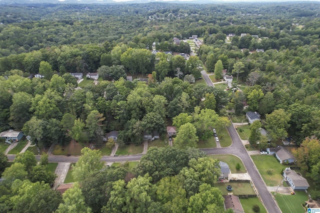 bird's eye view