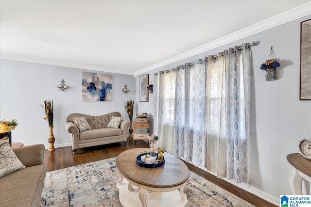 living room featuring crown molding and dark wood-type flooring