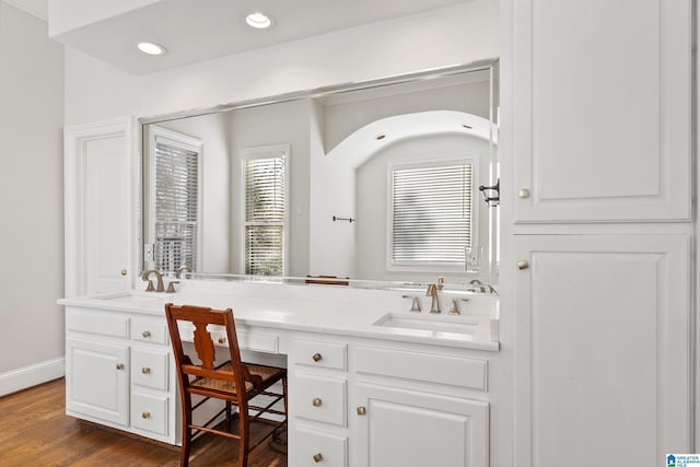 bathroom featuring wood-type flooring and vanity