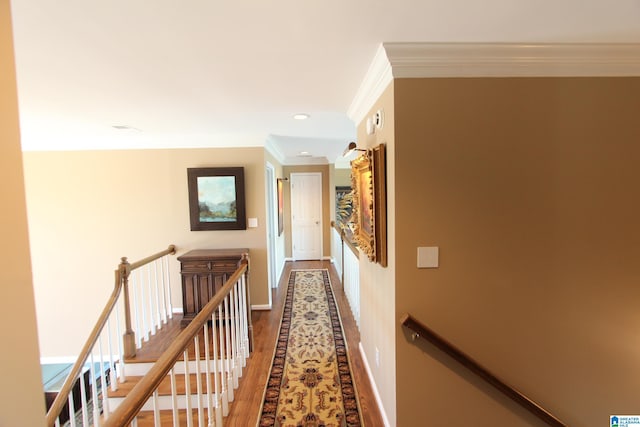 corridor featuring crown molding and wood-type flooring