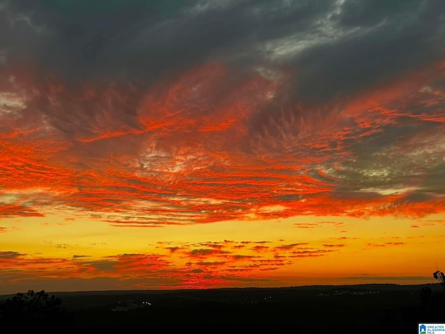 view of nature at dusk