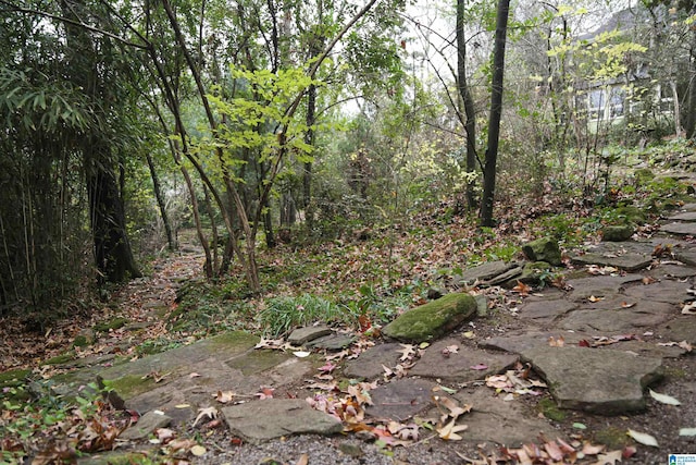 view of local wilderness