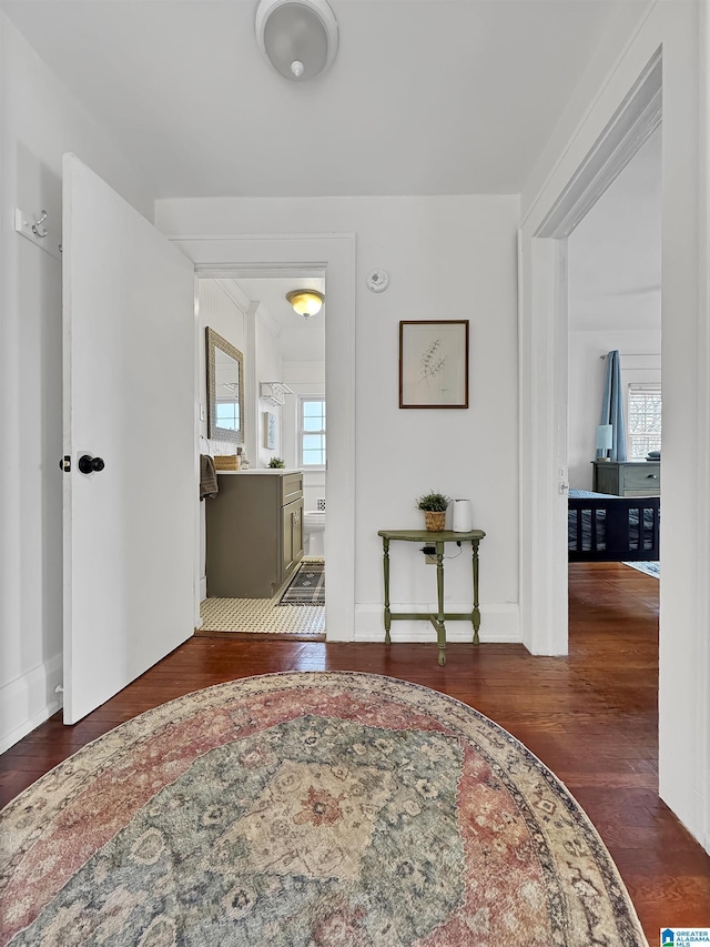 hallway featuring a wealth of natural light and dark wood-type flooring