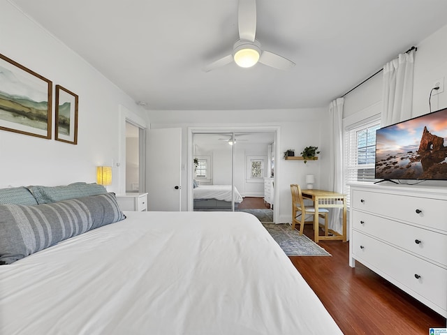 bedroom with ceiling fan and dark wood-type flooring