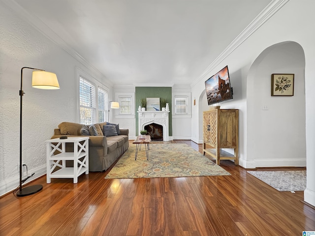 living room featuring hardwood / wood-style floors and ornamental molding