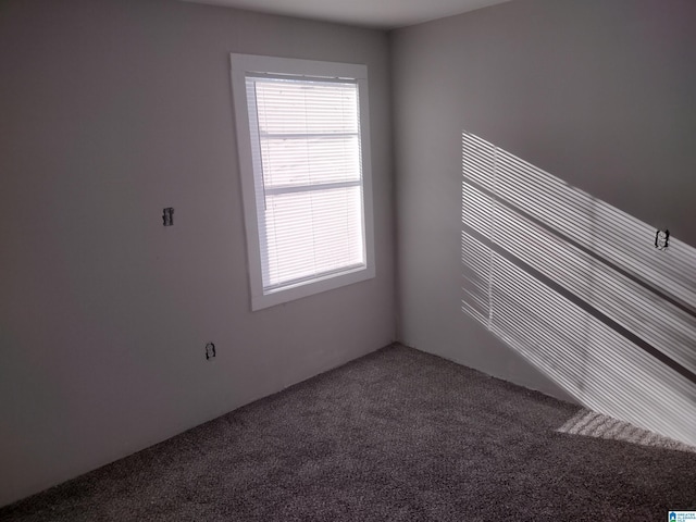 spare room featuring carpet flooring and a wealth of natural light