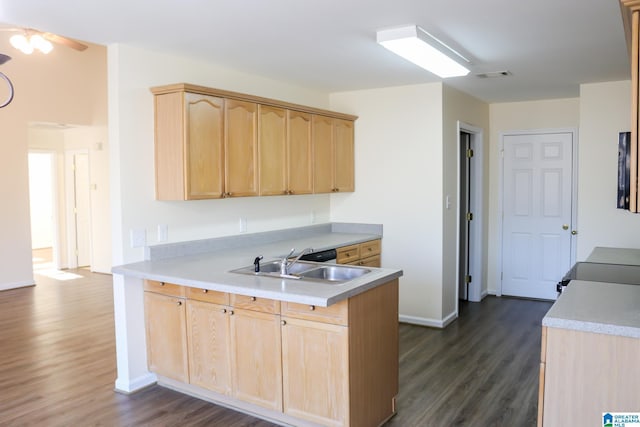 kitchen featuring dark wood-type flooring, light brown cabinetry, kitchen peninsula, and sink