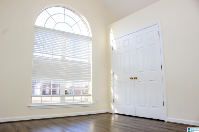 entrance foyer with vaulted ceiling, dark wood-type flooring, and plenty of natural light