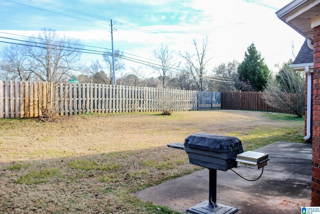 view of yard with a patio area