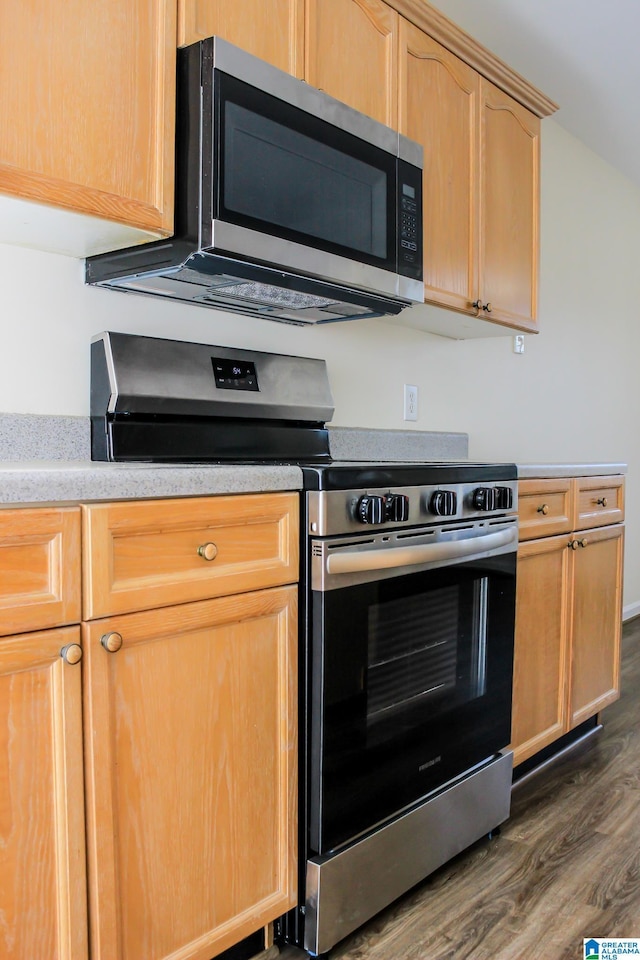 kitchen featuring dark wood-type flooring, light brown cabinets, and appliances with stainless steel finishes