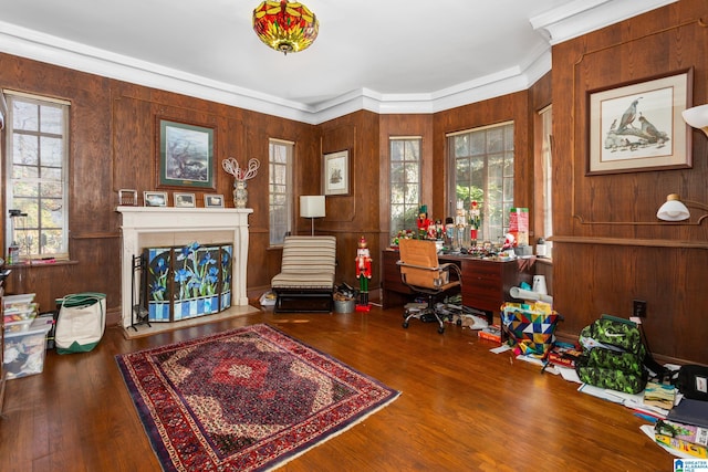 office space with hardwood / wood-style floors, a wealth of natural light, and ornamental molding