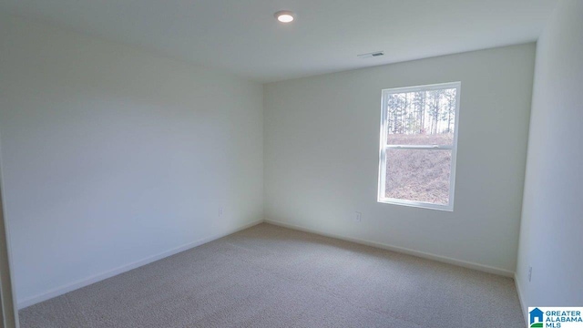 unfurnished room with carpet floors