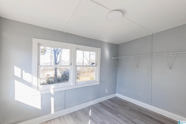 spacious closet with hardwood / wood-style floors