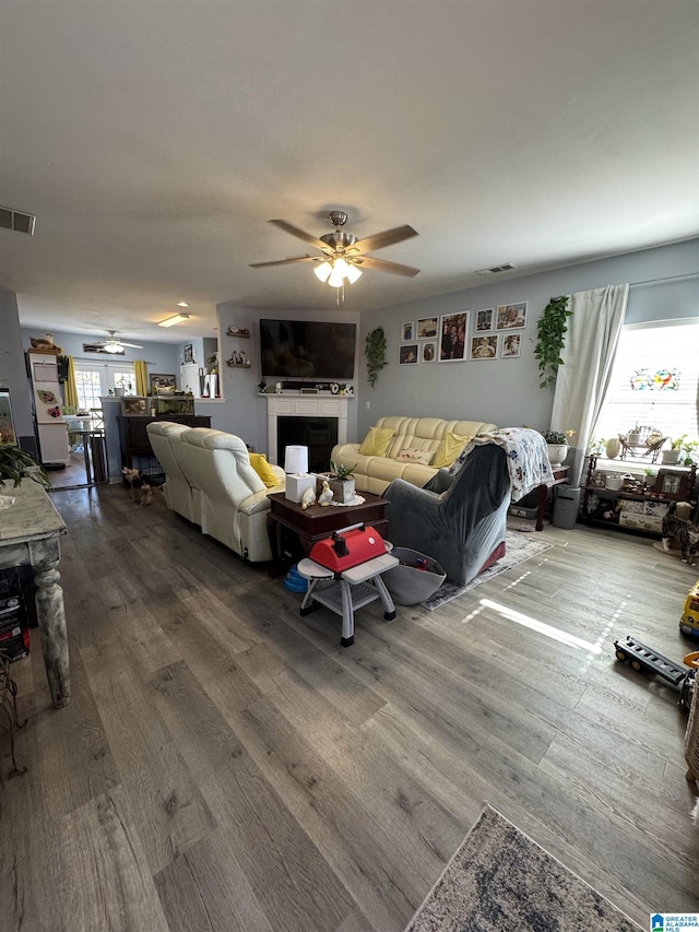 living room with hardwood / wood-style floors and ceiling fan