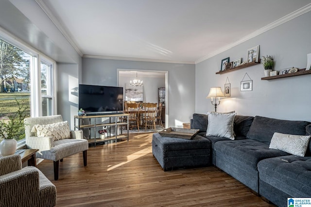 living room with ornamental molding, a chandelier, and hardwood / wood-style flooring